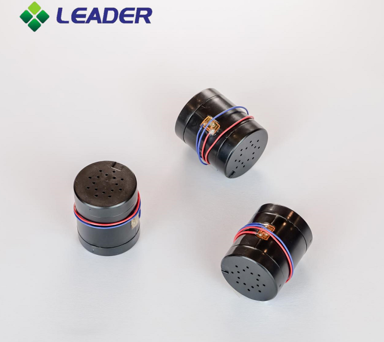 https://www.leader-w.com/vibration-motor-for-games-controller-ld2024/